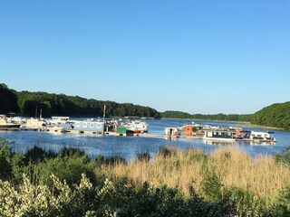 Die Buchholzer Marina.