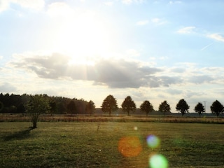 Der Sonnenuntergang im Garten.