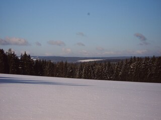 Winterbild mit Schnee