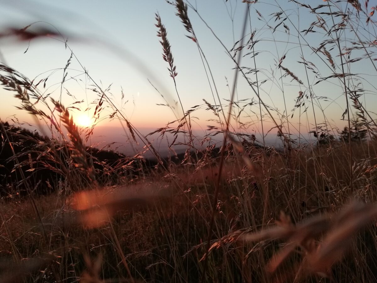 Sonnenuntergang 20 min. zu Fuß ab dem Hof