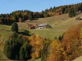 Holiday apartment Münstertal Outdoor Recording 9