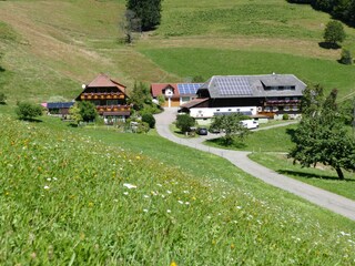 Holiday apartment Münstertal Outdoor Recording 11