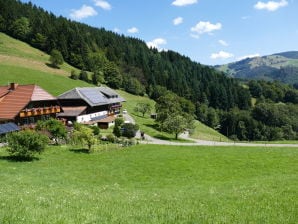 Ferienwohnung -Auszeit-  Gipfhof - Münstertal - image1