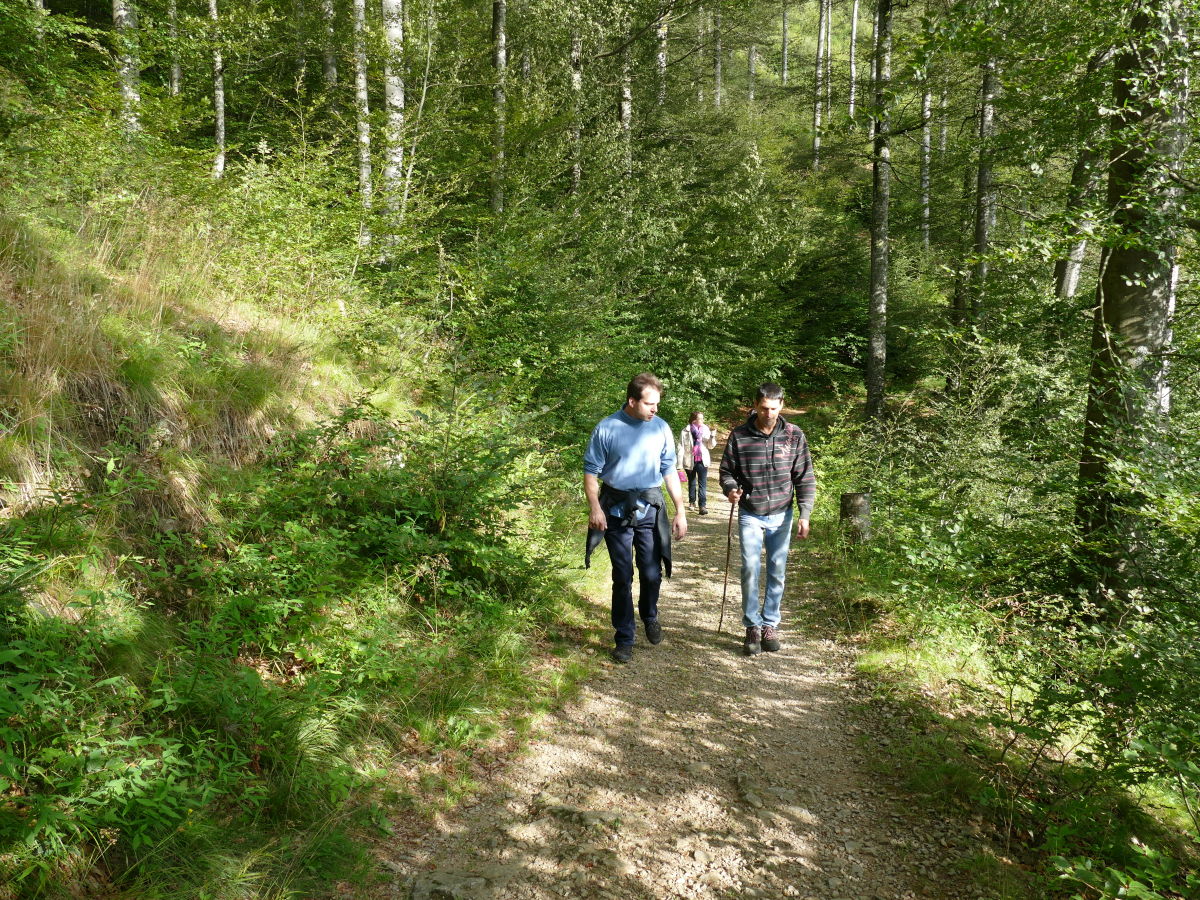 Spaziergang zur Berggaststätte Kohlerhof