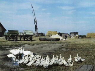 Appartamento Mönchhof Ambiente 23