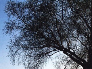 Appartamento Mönchhof Ambiente 24