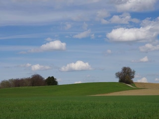 Die hügelige Landschaft im Frühjahr