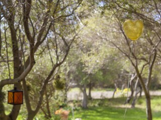 Villa Cala Millor Registrazione all'aperto 11