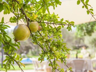 Villa Cala Millor Registrazione all'aperto 12