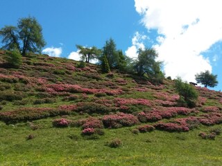 Appartamento Meran Ambiente 23