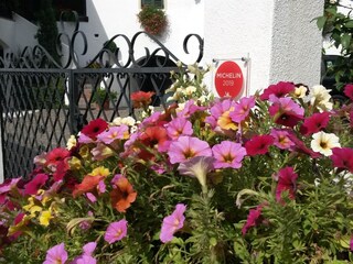 Appartamento Meran Documento 25