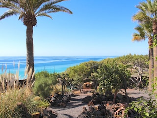 Palmengarten und Meerblick