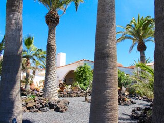 Großer Palmengarten