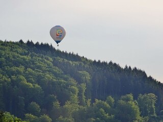 Ballon über dem Wald