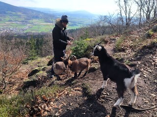 Appartement de vacances Waldmünchen Équipement 20