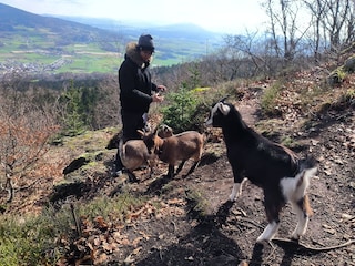 mit Ziegentobi unterwegs