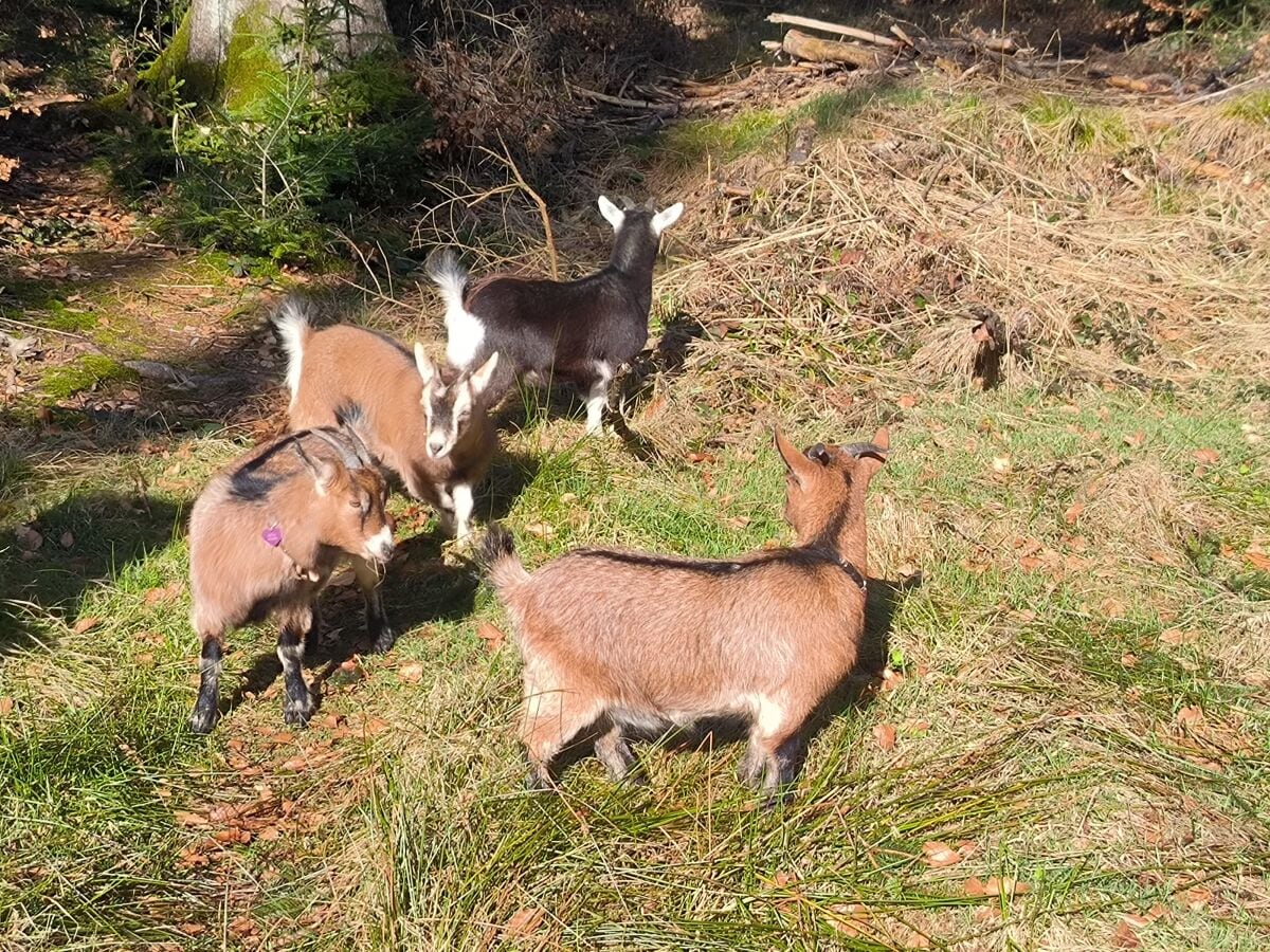 geführte Wanderungen