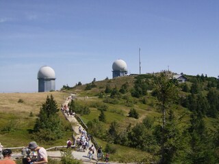 Appartement de vacances Waldmünchen Environnement 31