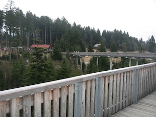 Appartement de vacances Waldmünchen Environnement 35