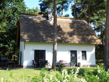 Ferienhaus Meine kleine Sansibar