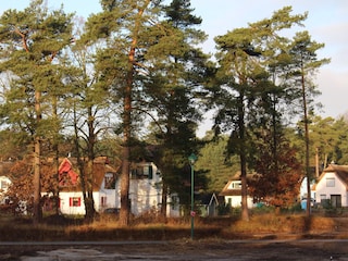 Das Fischerdorf mit alten Bäumen am Haff gelegen.