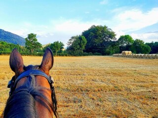 Chalet Miribel-Lanchâtre Entorno 22