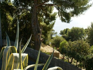 Holiday house Le Pradet Outdoor Recording 5