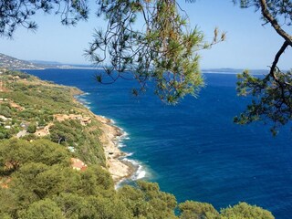 Holiday house Le Pradet Environment 24