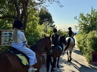 Mit Pferden auf dem Strand reiten