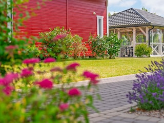 Pirat Bobolin - Garten und Pflanzen