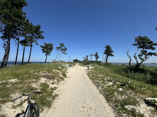 Pirat Bobolin - Radweg nach Kopa? - 6km