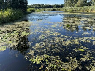 Pirat Bobolin - Leniwiec Kana? 1km