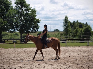 Reiten in der Nachbar-Pferderanch (200m)