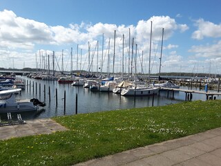 Hafen in Maasholm