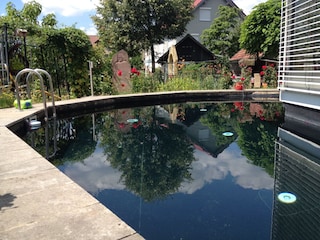 Pool im Garten