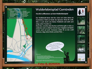 Waldlehrpfad