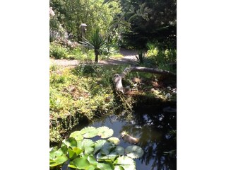 Großer Naturgarten mit Teich