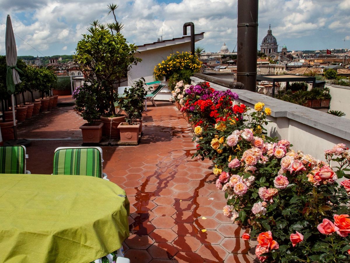 Dachterrasse mit Rosen bis Dezember Foto Del Castillo