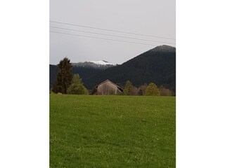 Ferienwohnung Bad Kohlgrub Umgebung 9