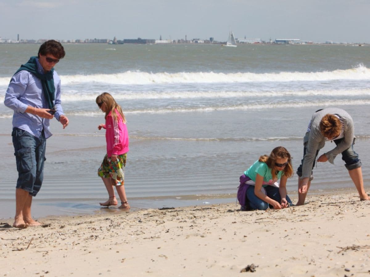 Muscheln suchen am Strand