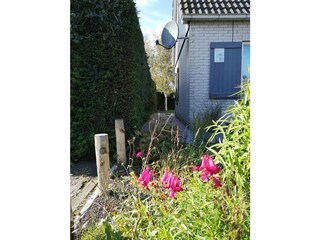 Vakantiehuis Ouddorp Buitenaudio-opname 4