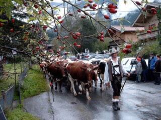 Appartamento per vacanze Hochkrimml Ambiente 19