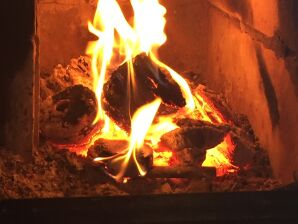 Vakantiehuis in de Alpen JULIA