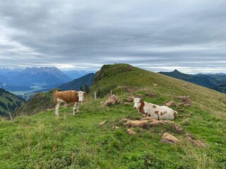 Appartamento per vacanze Hochkrimml Ambiente 16
