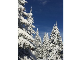 Appartamento per vacanze Hochkrimml Ambiente 13