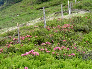 Appartamento per vacanze Hochkrimml Ambiente 21