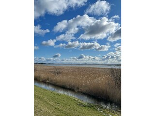Bodden