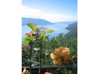 Casa per le vacanze Trarego Viggiona Registrazione all'aperto 6