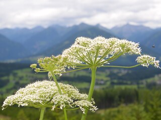 Chalet Aich Ambiente 23