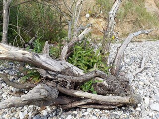 Casa per le vacanze Flovt Strand  12